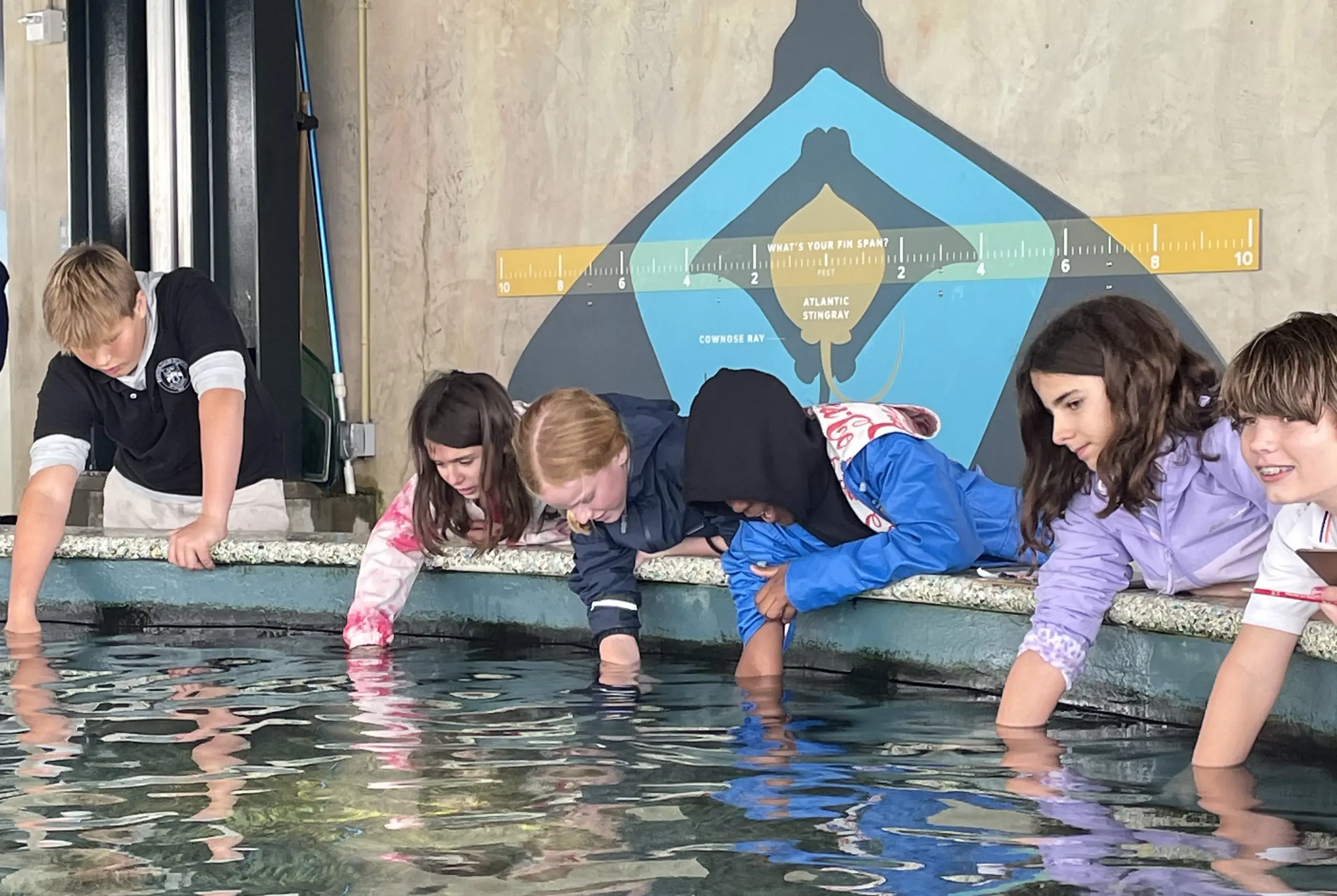 OptimizedImage,,,Optimized