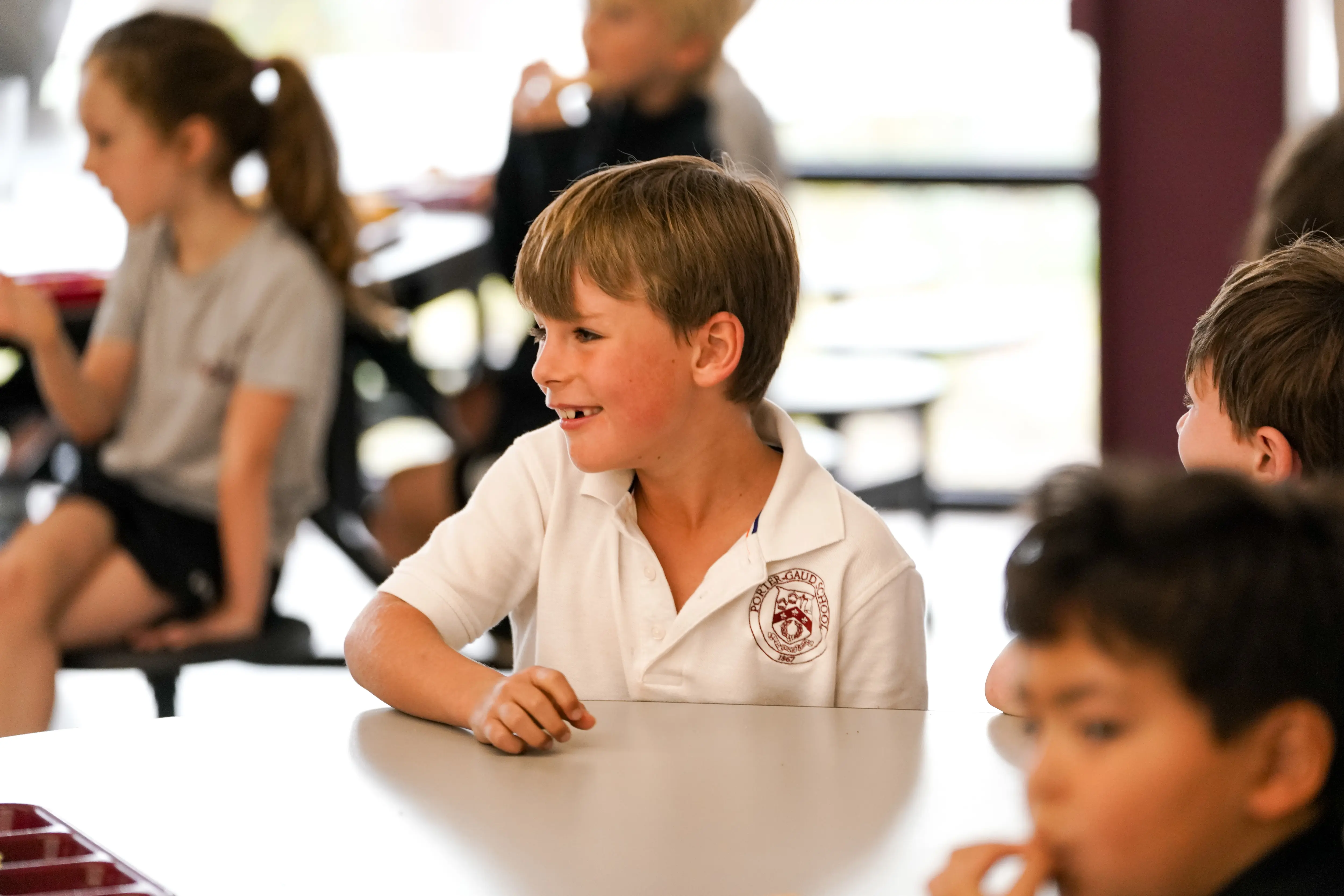 OptimizedImage,,,Optimized