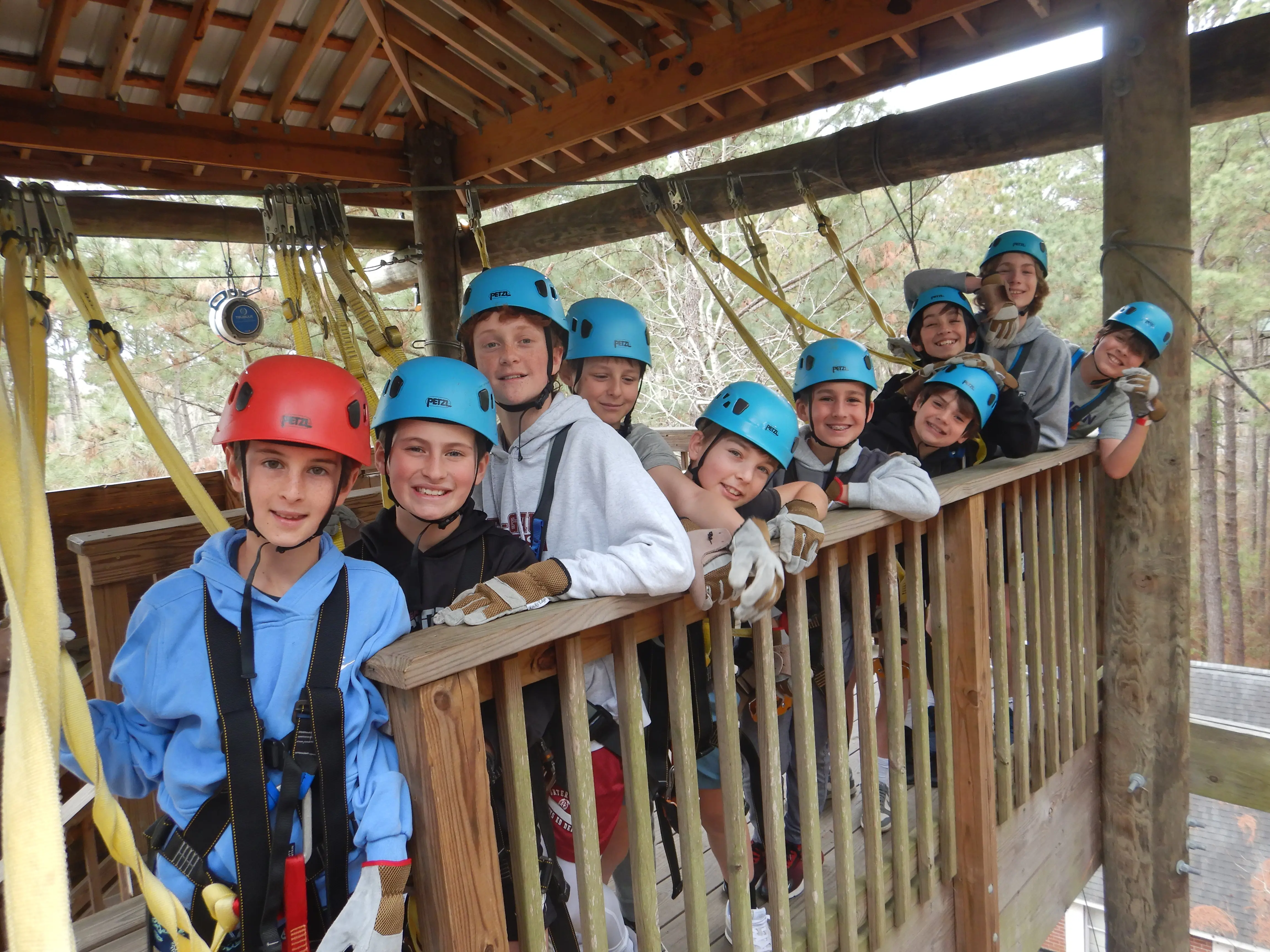 OptimizedImage,,,Optimized