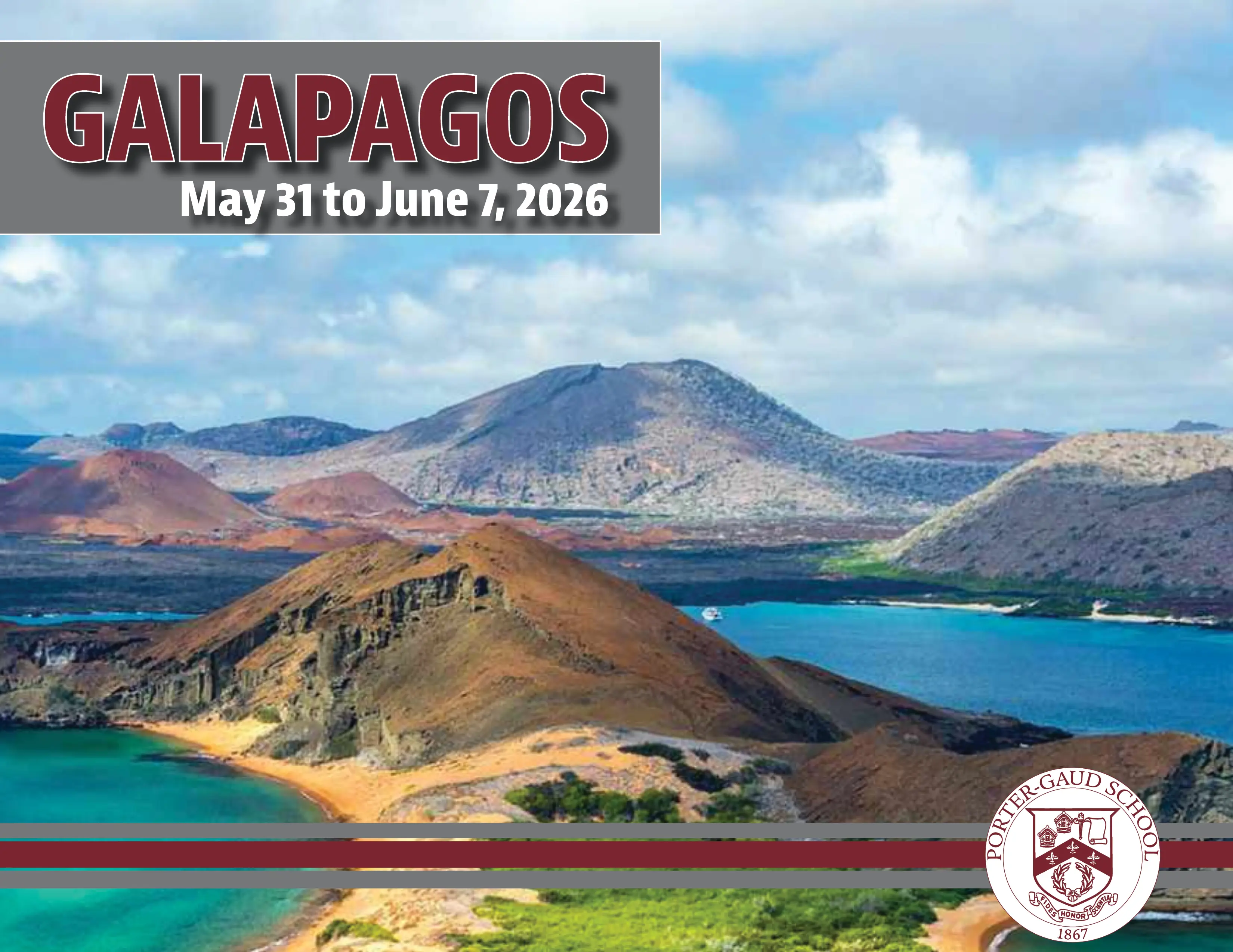 OptimizedImage,Optimized