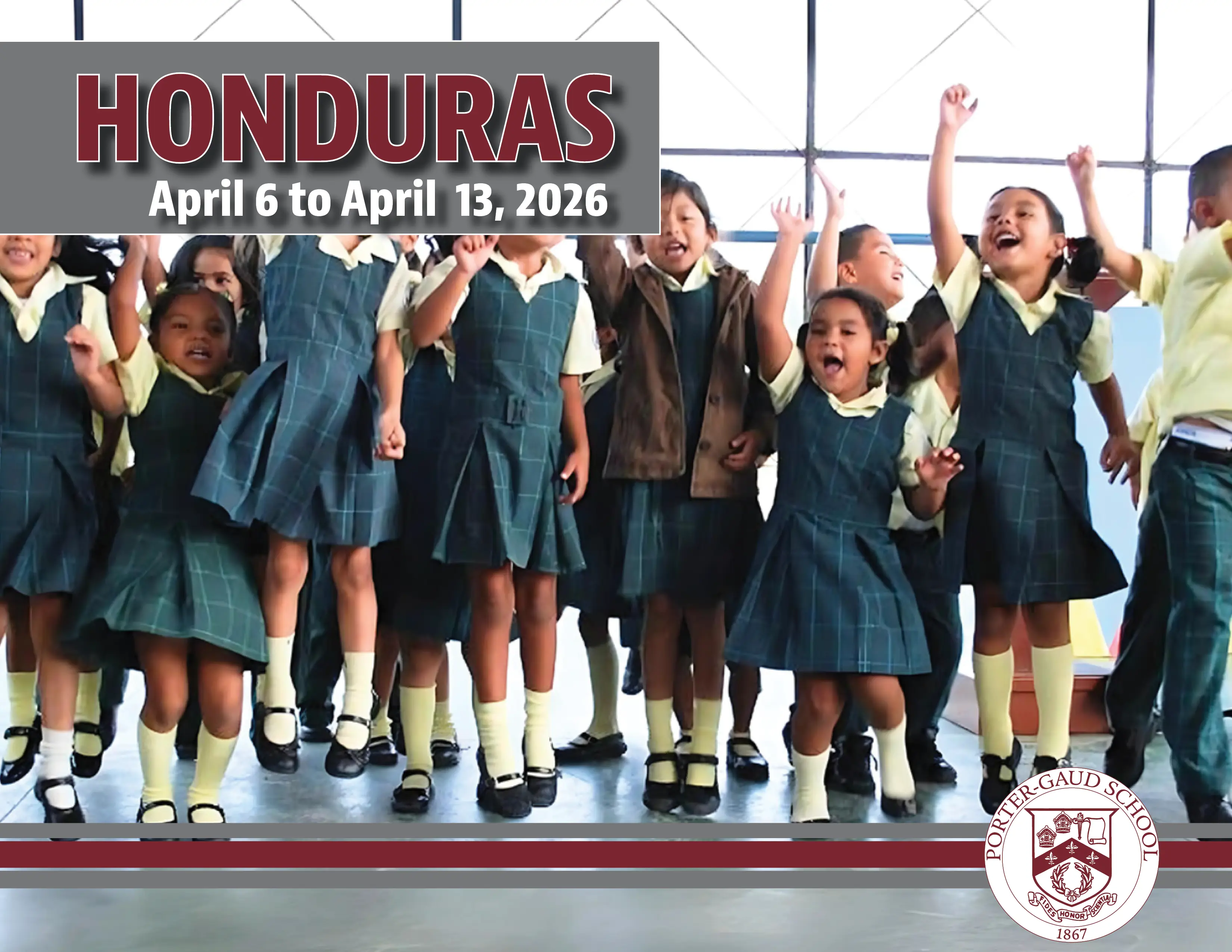  OptimizedImage,Optimized