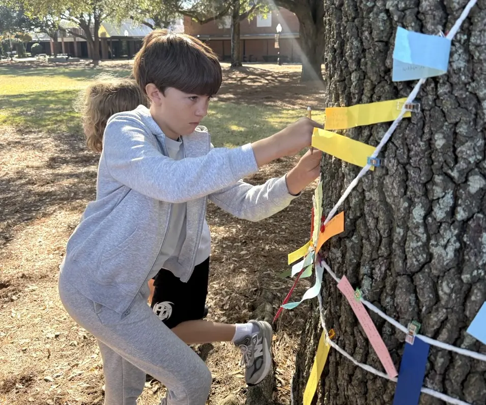 OptimizedImage,,,Optimized