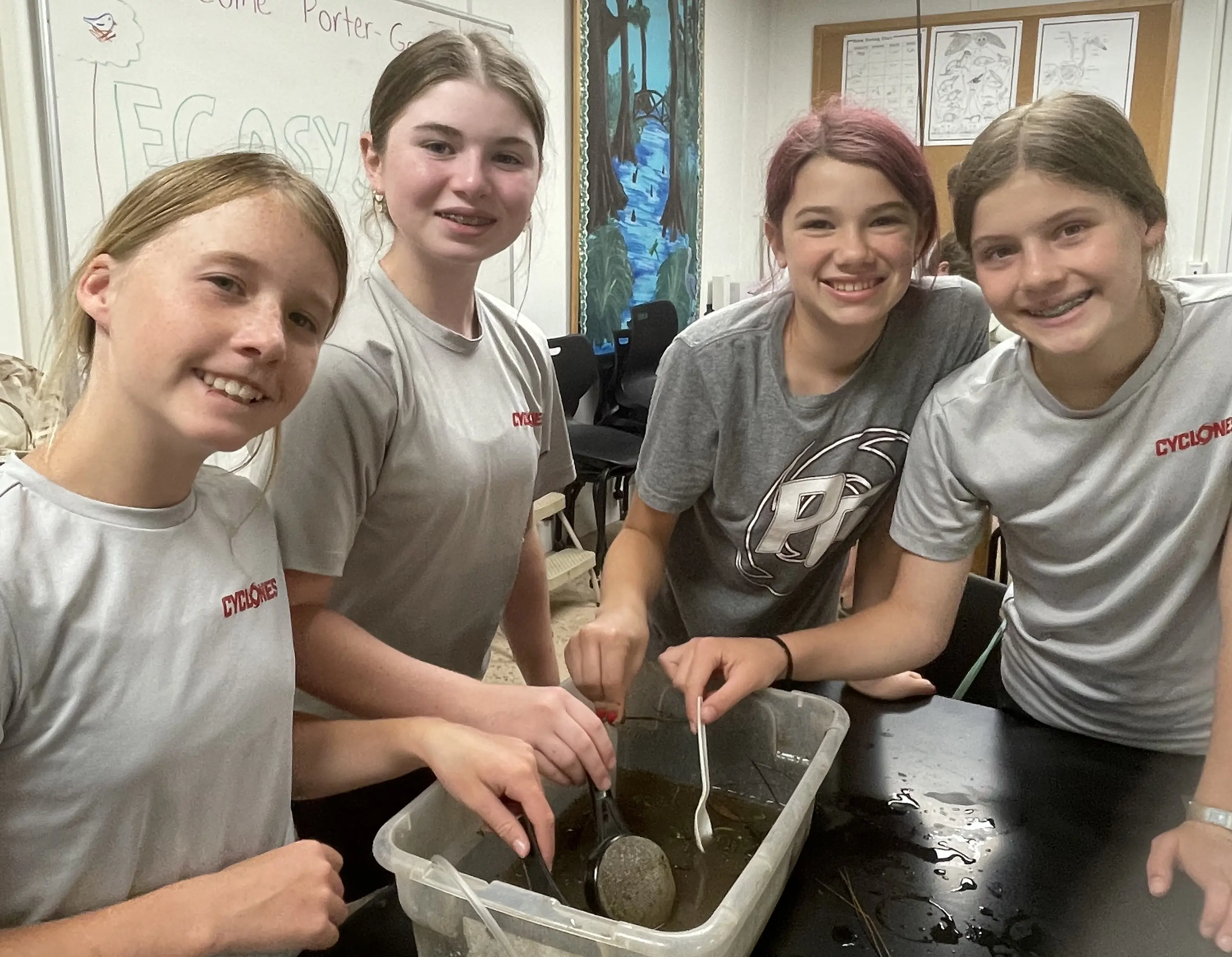  OptimizedImage,,,Optimized