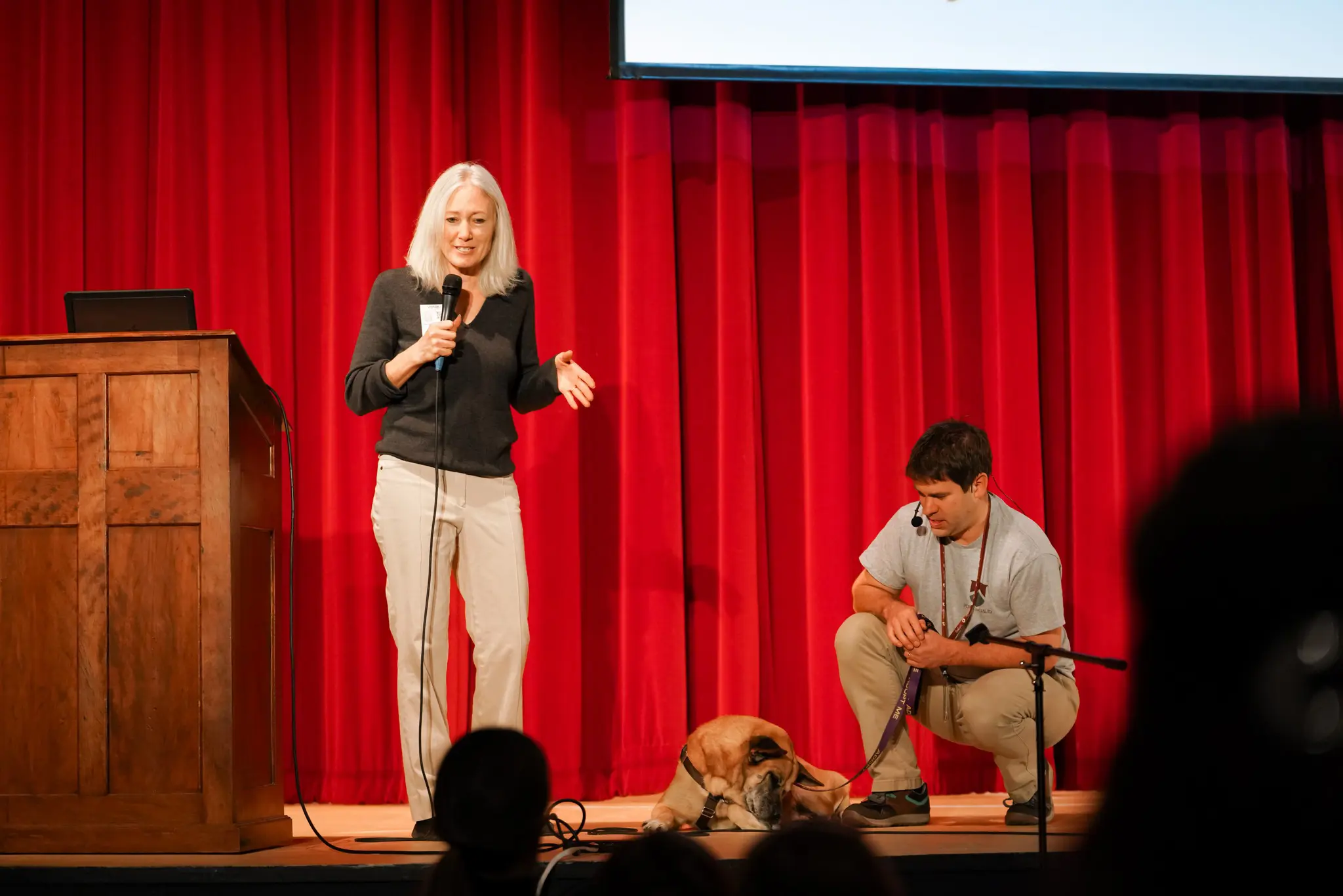  OptimizedImage,,,Optimized