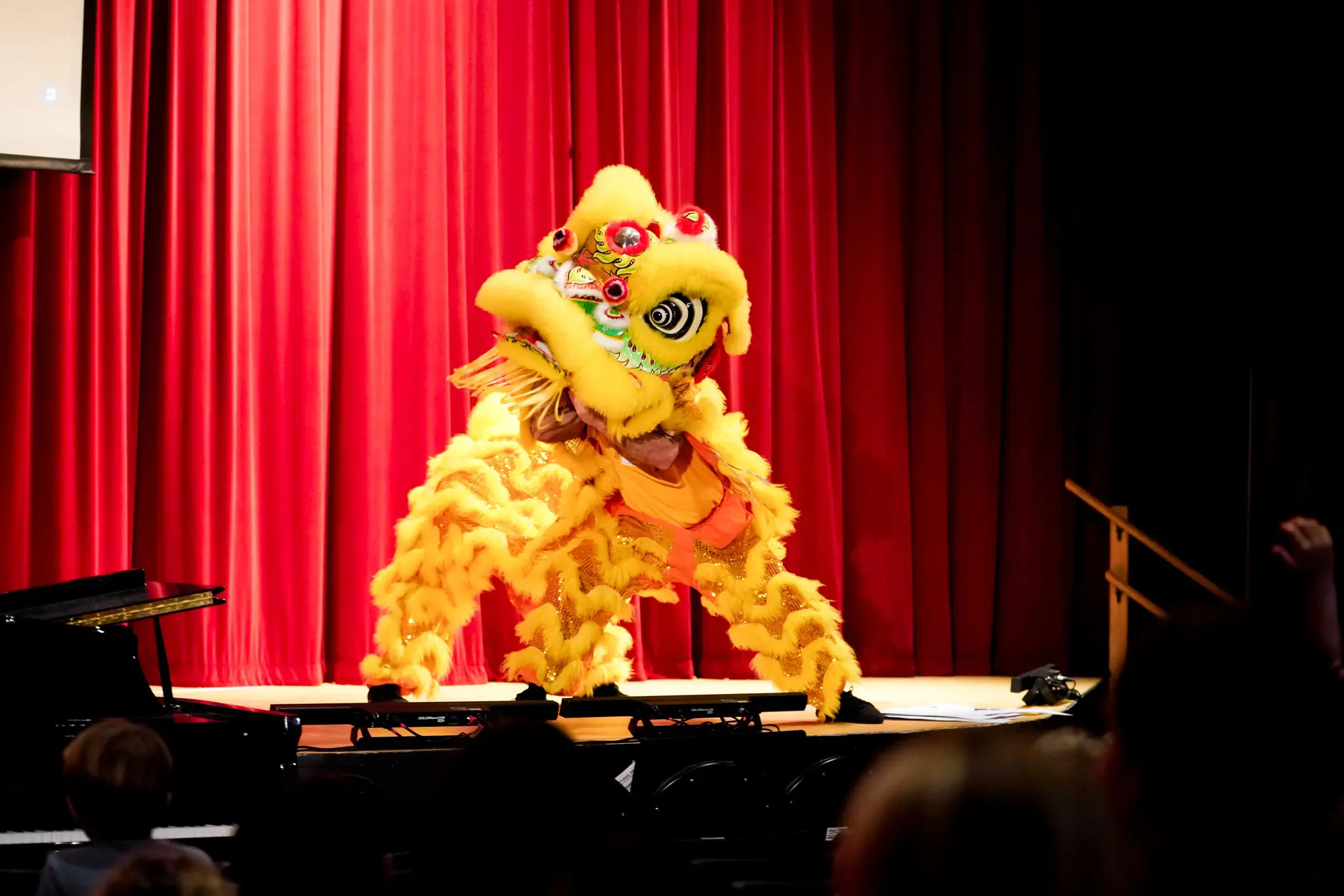 OptimizedImage,,,Optimized