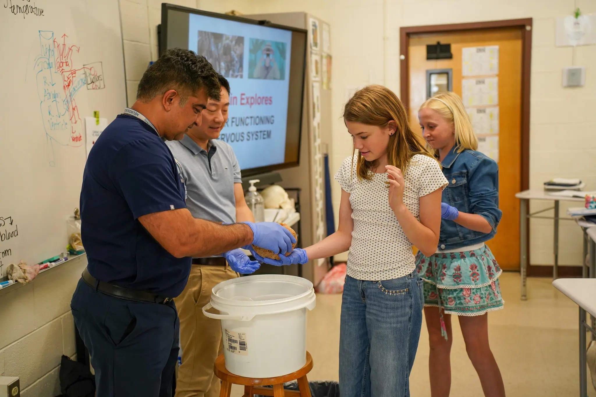  OptimizedImage,,,Optimized