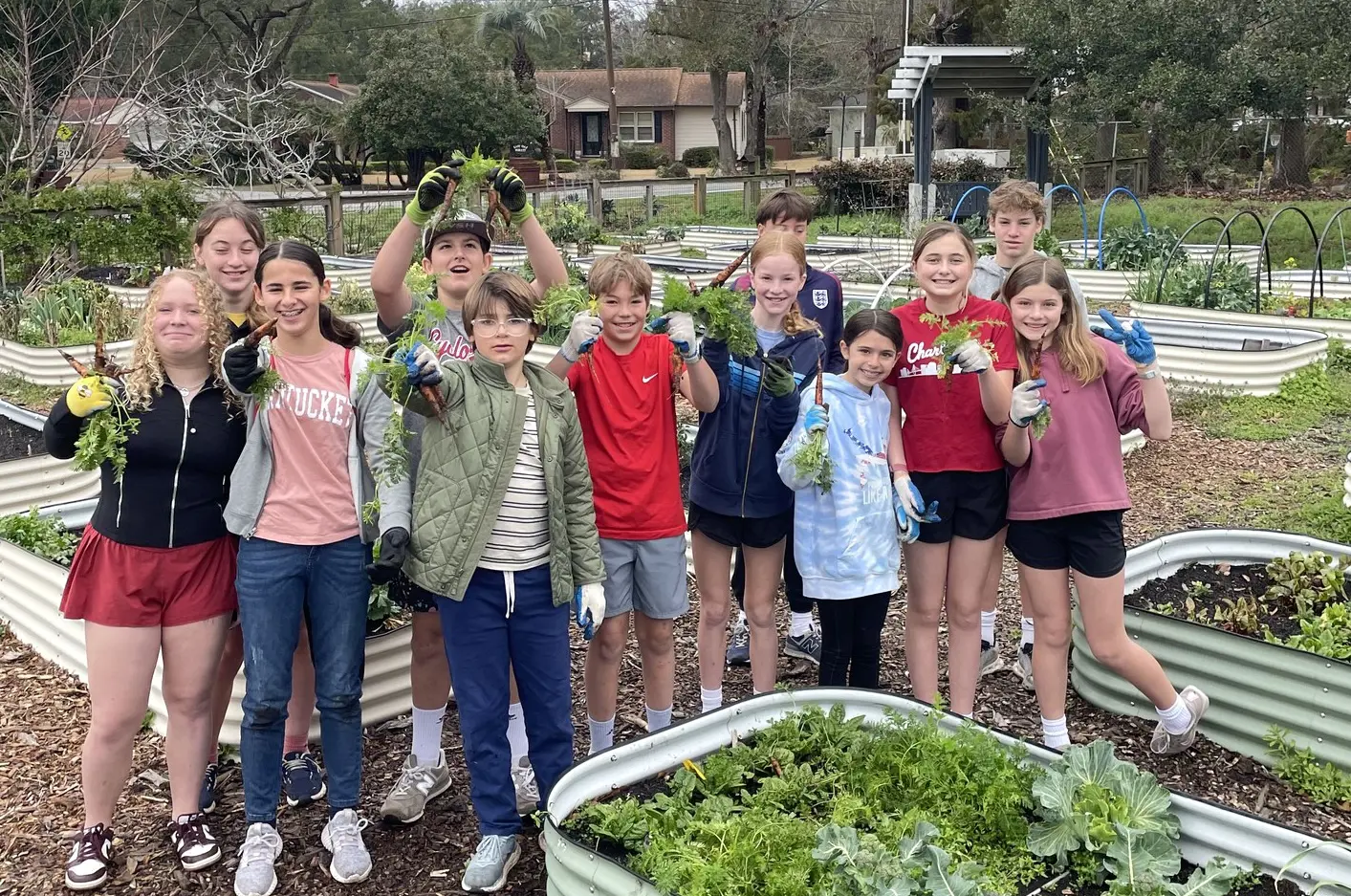  OptimizedImage,,,Optimized