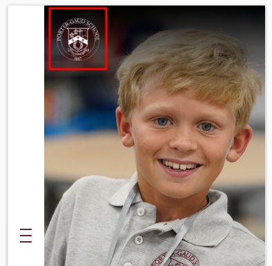 OptimizedImage,Optimized